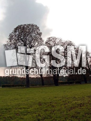 B-Herbststimmung 092.jpg